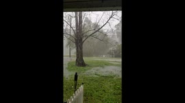 Michael downgraded to tropical storm status, brings winds and rains to Virginia