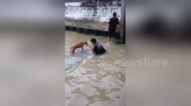 Brave teenagers rescue stray dog stranded in dirty canal