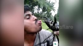 Stunt goes wrong as giant crab grabs a man’s tongue