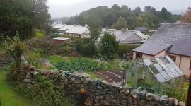 Strong 50mph winds and heavy rain in north wales