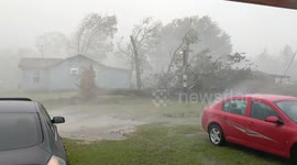 Large tree uprooted by 150mph winds as Florida as storm rages on