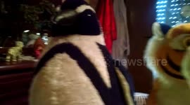 perro no se mueve, perro peluche estatua