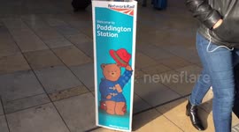 Paddington Bear Celebrates 50 Years