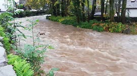 Heavy rainfall in Cumbria causing floods and dangerous driving conditions