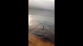 Slow mo