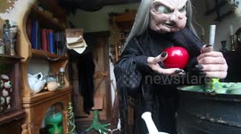 Halloween witch clip