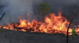 Bundamba grass fire
