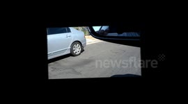 Tagged Jag - Closer Look