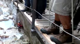 Dog rescue from gorge near Hammersbach Germany