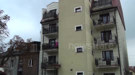 Dzięcioł Miejski - Woodpecker City