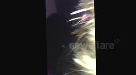 Kitty brucknell crowd surf fail