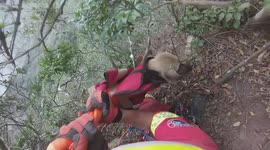 Climbers in South Africa make heartwarming rescue of dogs trapped on cliffside