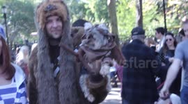 Tompkins Square Park Halloween Dog Parade 2014