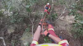 Dog rescued from a cliff ledge in South Africa