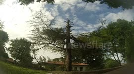 Lumberjack catapults into a tree
