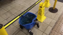 Buckets at the ready! 'Heavy rain' causes leak at Embankment station
