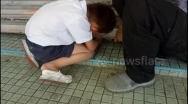Little Boy rescues a trapped kitten