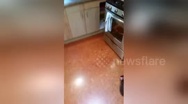 Thanksgiving Fail 2015