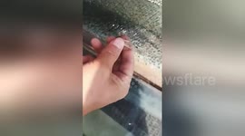Chinese glass walkway closes after pane shatters