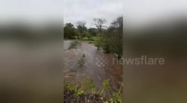 Newsflare Edit - River Tavy at Harford Bridge this morning #StormCallum #Dartmoor #deluge #PeterTavy #PetershamGroup https://t.co/DouCR7y0rN