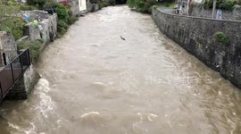 Tree being swept down river after storm Callum