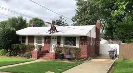 Dragon on house roof