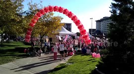 Susan G. Komen Run for the Cure