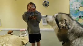 Singing dog loves joining in on kids' music class