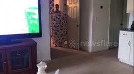 Dog totally confused by magic trick #WhatTheFluffChallenge
