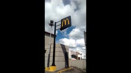 Thousands of bees seen swarming around McDonald's sign