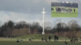 Europe's largest park within a city