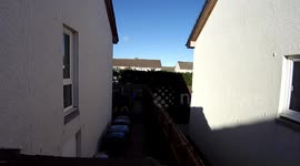 Courier steps in dog crap delivering parcel to neighbour as its all over their path and garden!