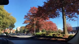Autumn in Richmond BC