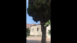 Uccello che plana
