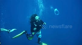 Expert diver shows off technique of how to throw bubble rings