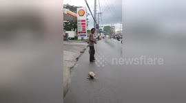 Newsflare Edit - Brave woman confronts man dragging injured puppy on road