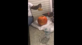 Puking Pumpkin Happy Halloween!!!!!