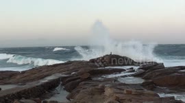 Seal hunting in stormy sea waters