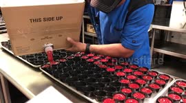 Fast worker with ketchup