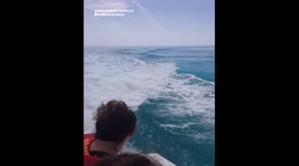 DOLPHIN SURFING Behind Boat