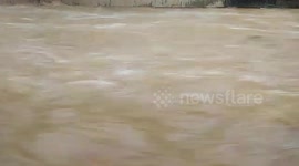 Monkey looks for safety place as flood coming