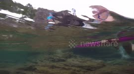 Snorkeling the Arctic Waters of Lake Superior-GoPro