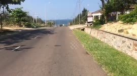 Crabs make beautiful on the coastal road