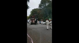 Giant puppet dog meets real dog!