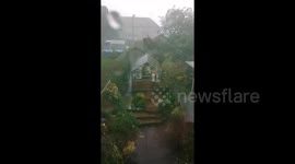 Storm Ali testing the aerodynamics of the greenhouse