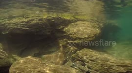 Running through the underwater canyon with the GoPro