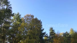 A big flock of loud geese flying right over me.