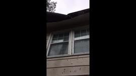Tree uprooted by Hurricane Florence lands on family's roof