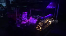 Tuk-Tuk With Pig Carcass Inside