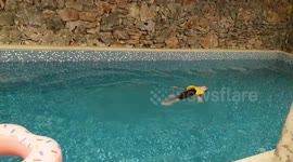 Spa & wellnes pool swimming kid